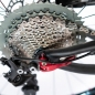 Preview: KUbikes 24S CF